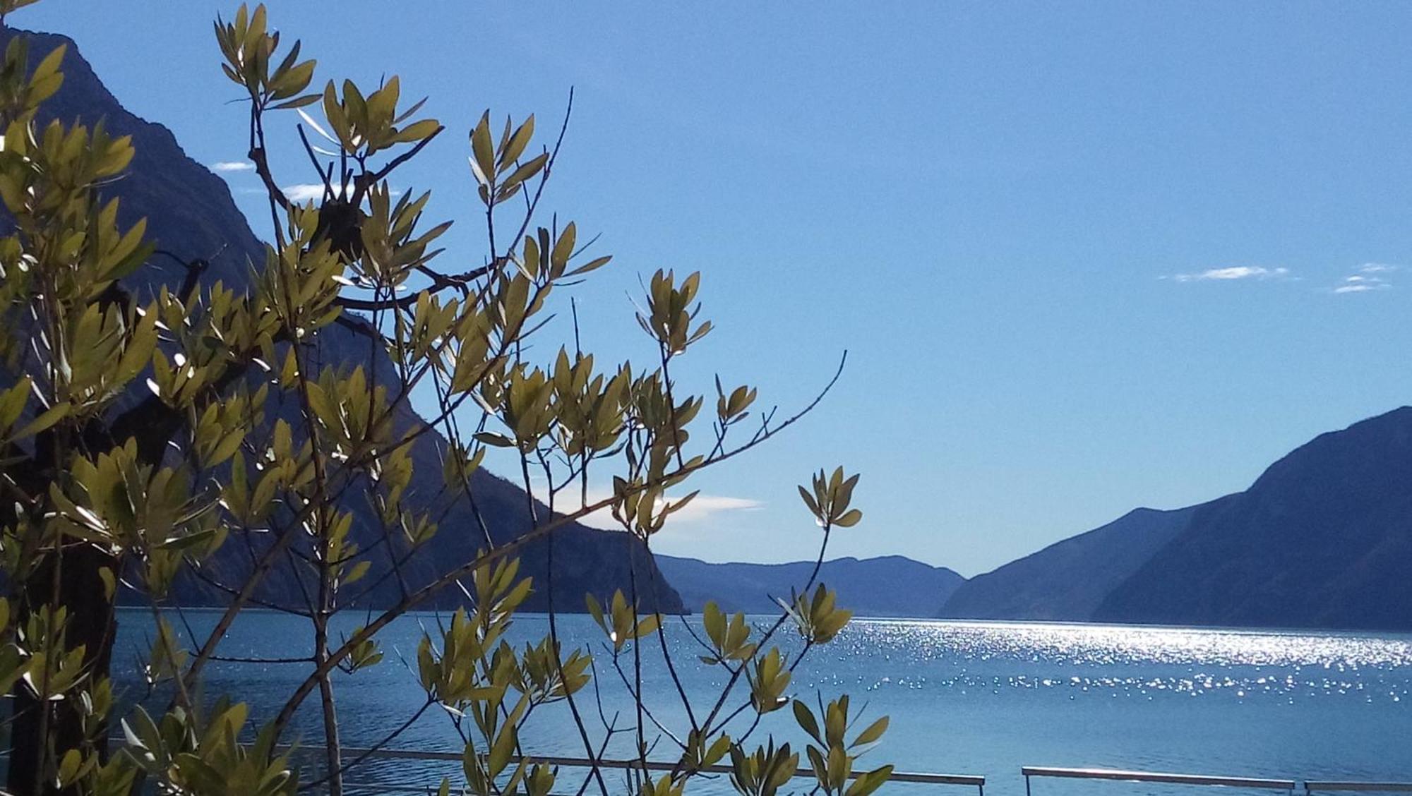 Ca Del Lac Castro  Eksteriør billede